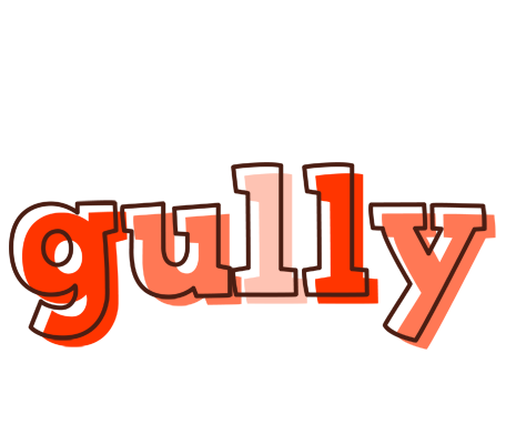 Gully paint logo