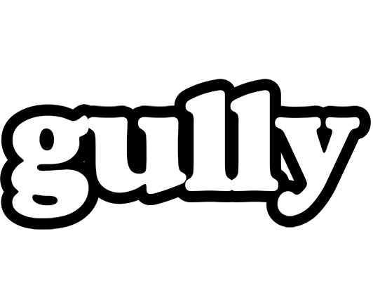 Gully panda logo