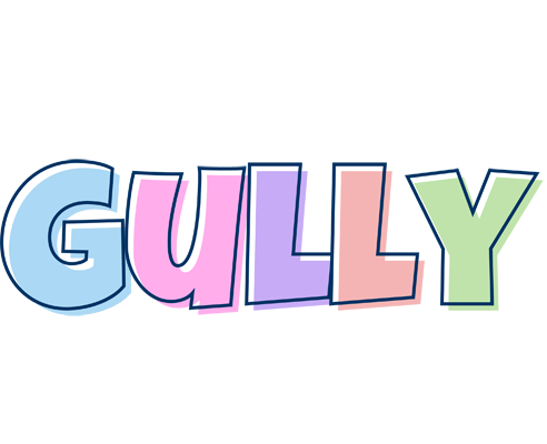 Gully pastel logo