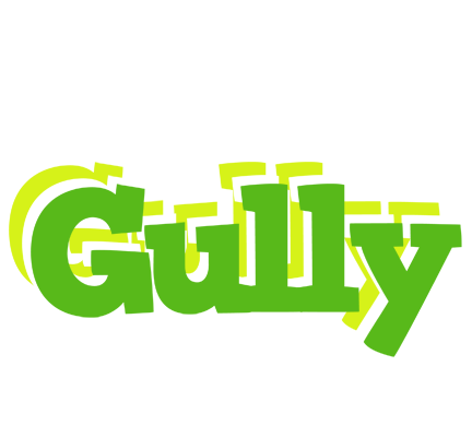Gully picnic logo