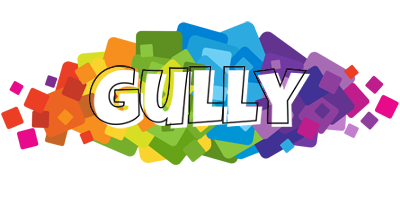 Gully pixels logo