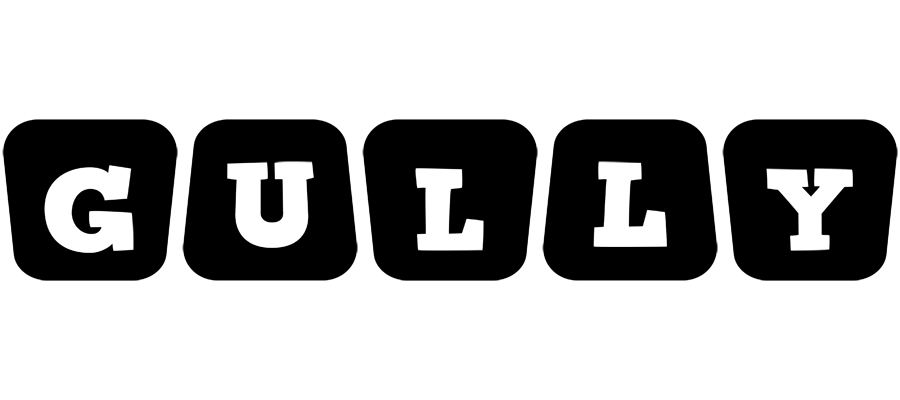 Gully racing logo