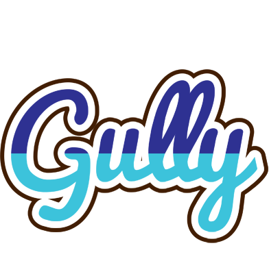 Gully raining logo