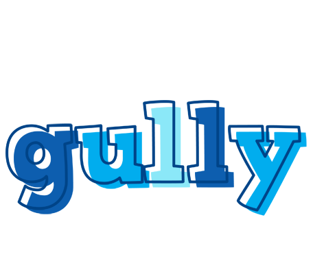 Gully sailor logo