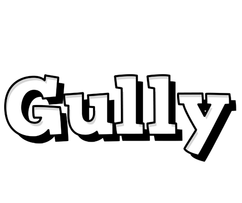 Gully snowing logo