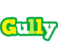 Gully soccer logo