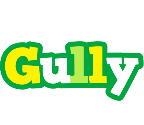 Gully soccer logo