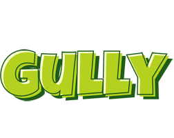 Gully summer logo