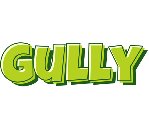 Gully summer logo