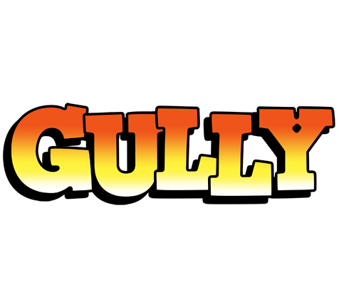 Gully sunset logo