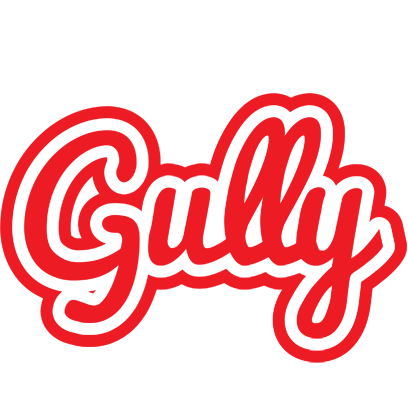 Gully sunshine logo
