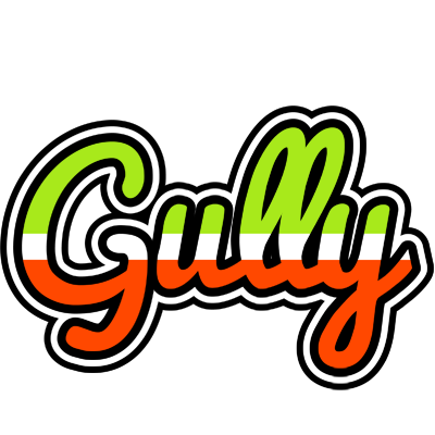 Gully superfun logo