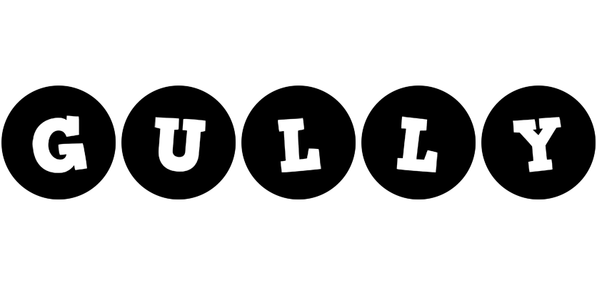 Gully tools logo