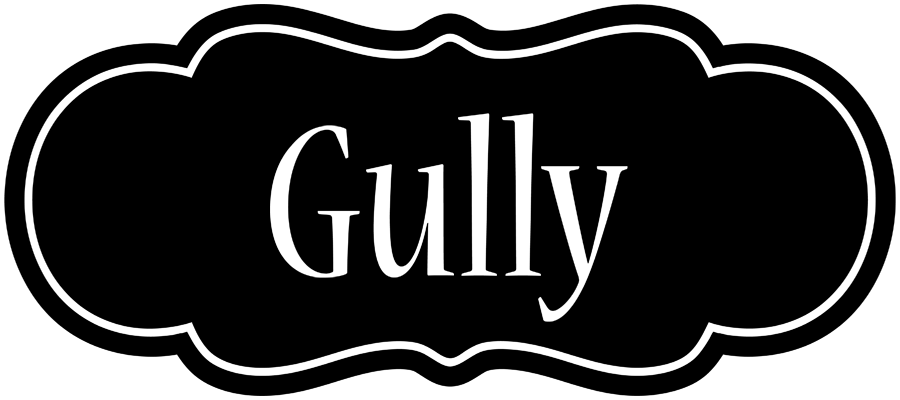 Gully welcome logo