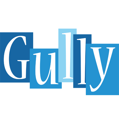 Gully winter logo