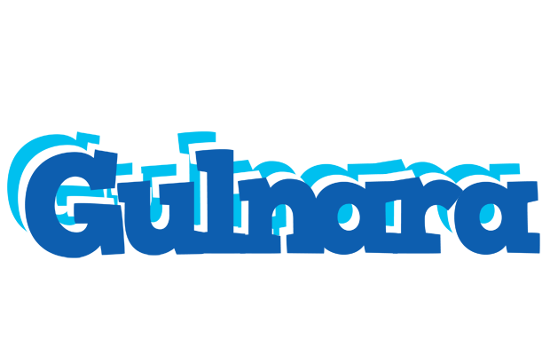 Gulnara business logo