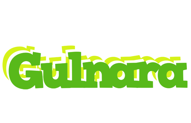 Gulnara picnic logo