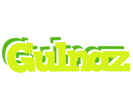 Gulnaz citrus logo