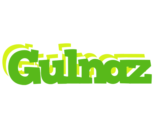 Gulnaz picnic logo