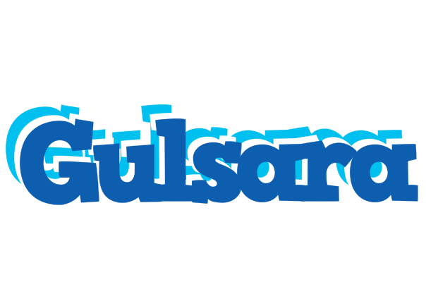 Gulsara business logo
