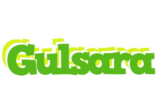 Gulsara picnic logo