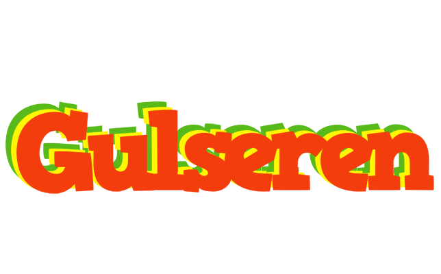 Gulseren bbq logo