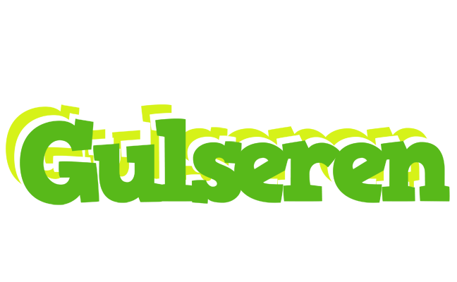 Gulseren picnic logo