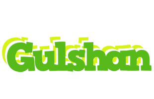 Gulshan picnic logo