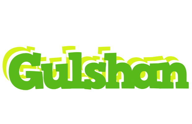 Gulshan picnic logo