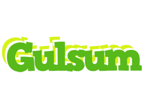 Gulsum picnic logo