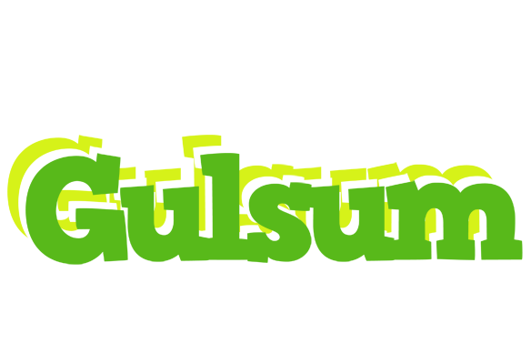 Gulsum picnic logo
