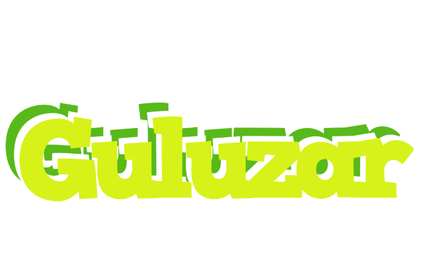 Guluzar citrus logo
