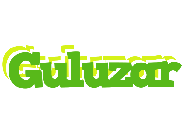 Guluzar picnic logo