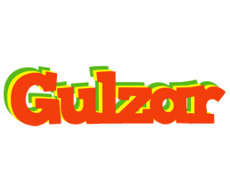 Gulzar bbq logo