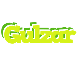 Gulzar citrus logo