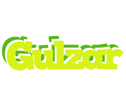 Gulzar citrus logo
