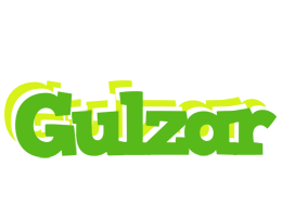 Gulzar picnic logo