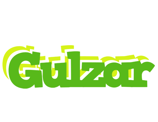 Gulzar picnic logo