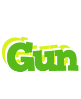 Gun picnic logo
