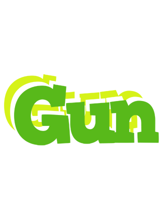Gun picnic logo