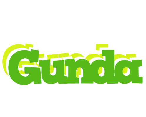Gunda picnic logo