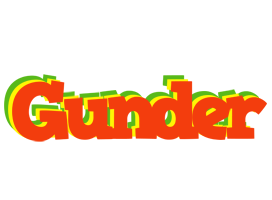 Gunder bbq logo