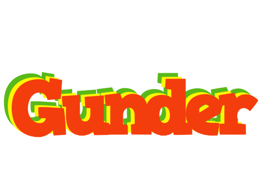 Gunder bbq logo