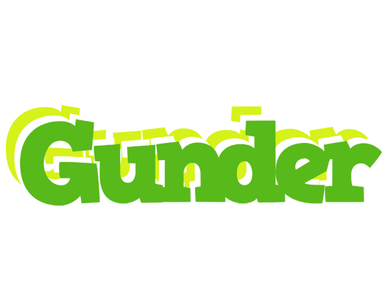 Gunder picnic logo