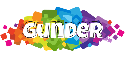 Gunder pixels logo