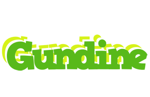 Gundine picnic logo