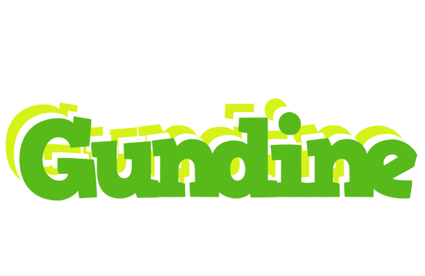 Gundine picnic logo