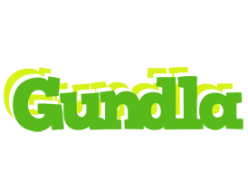 Gundla picnic logo