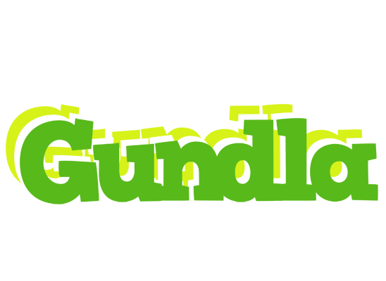 Gundla picnic logo