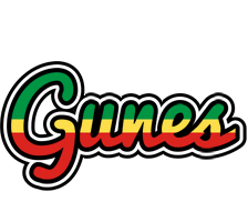 Gunes african logo